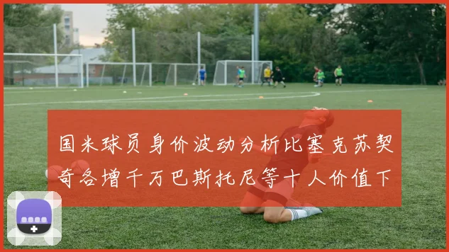 国米球员身价波动分析比塞克苏契奇各增千万巴斯托尼等十人价值下滑