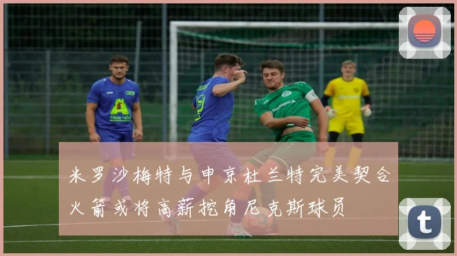 米罗沙梅特与申京杜兰特完美契合火箭或将高薪挖角尼克斯球员